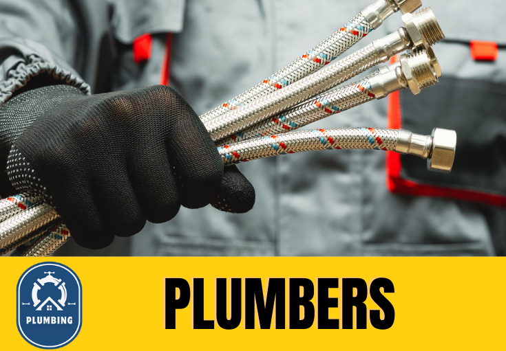  plumber Cuxton